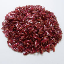 20pcs / bag Soft Cat Nail Caps / Cat Nail Cover / Paw caps / Pet Nail Protector with free Adhesive Glue Size XS S M L