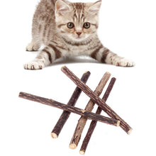 5pcs Pure Natural Catnip Pet Cat Molar Toothpaste Stick Cat Cleaning Teeth Silvervine Actinidia Fruit Matatabi Cat Snacks Sticks